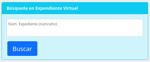 Formulario Búsqueda en Expediente Virtual